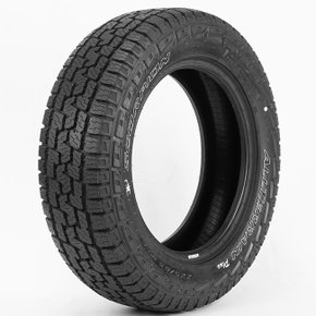 Pneu 225/65R17 Aro 17 PIRELLI SCORPION A/T XL WL 106H