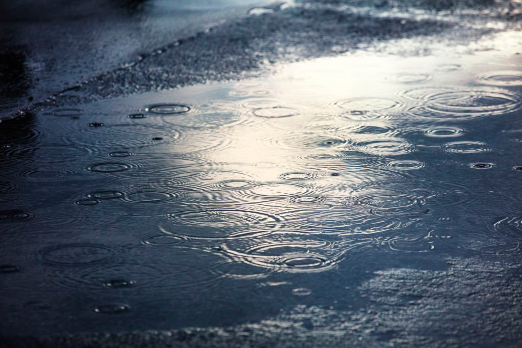 istockphoto 1256449263 1024x1024 1