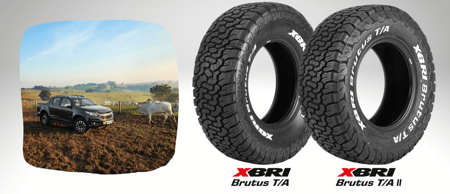 Brutus vs Brutus II: qual a diferença e por que evoluíram? 💪 Brutus vs Brutus II: qual a diferença e por que evoluíram? 💪
