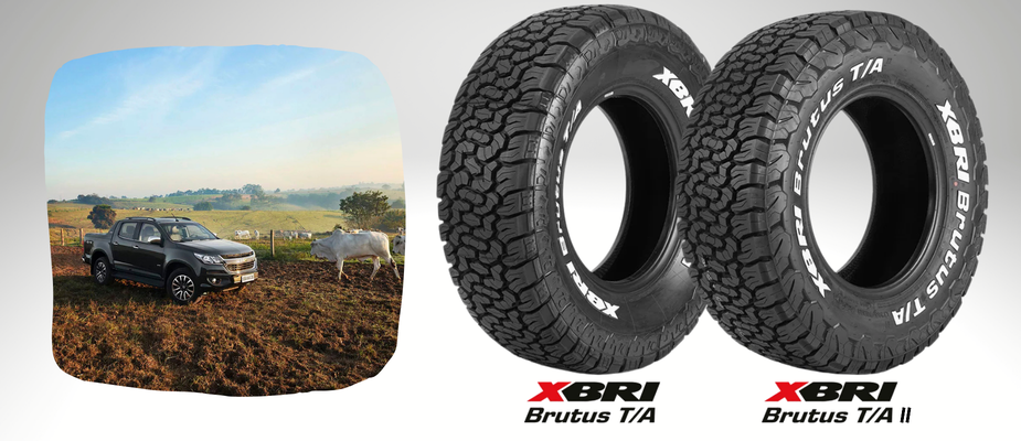 Brutus vs Brutus II: qual a diferença e por que evoluíram? 💪 Brutus vs Brutus II: qual a diferença e por que evoluíram? 💪